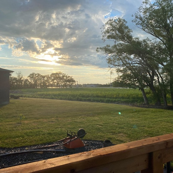 Meet your Posher, Norma - Picture 1 of 1